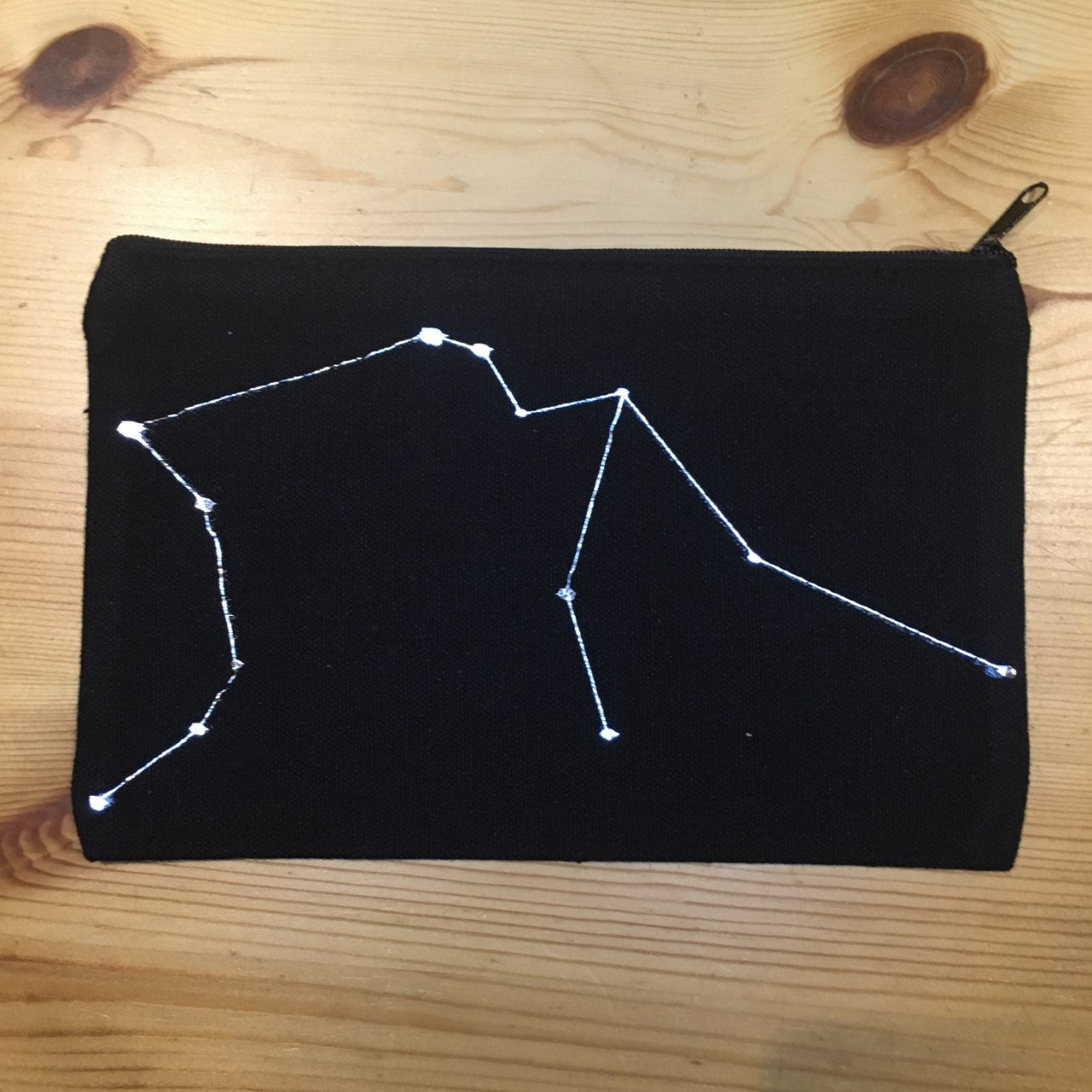Aquarius Pencil Case