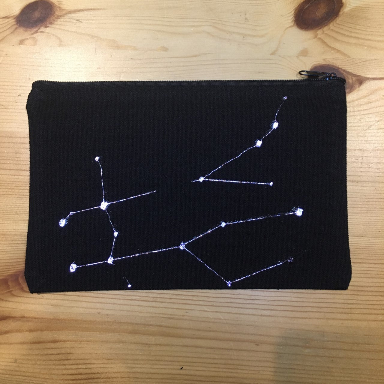 Gemini Pencil Case