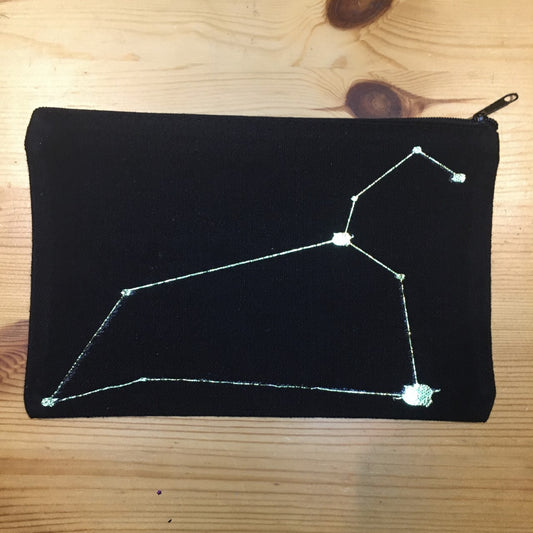Leo Pencil Case