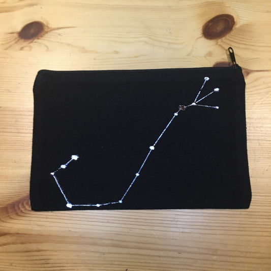 Scorpio Pencil Case