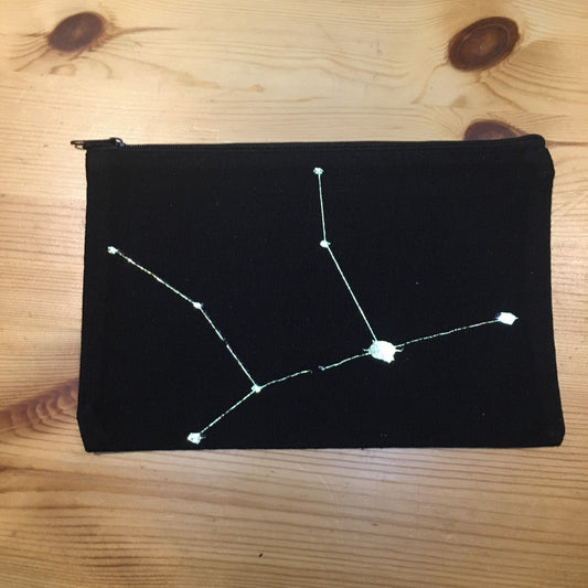 Virgo Pencil Case